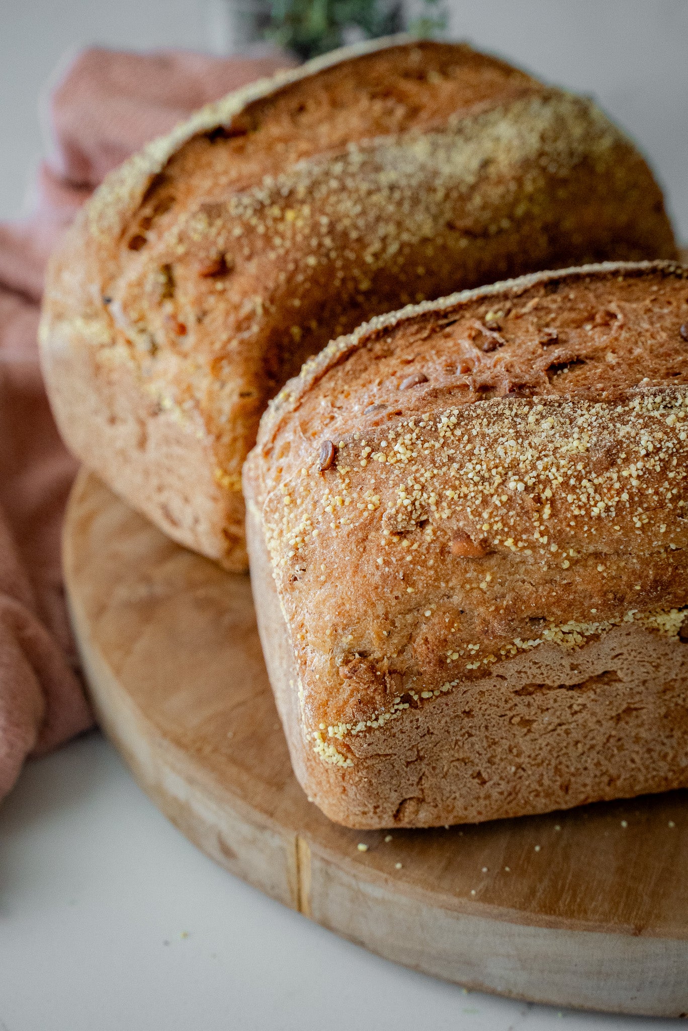 ORGANIC GF SOURDOUGH CLASSIC MILLET