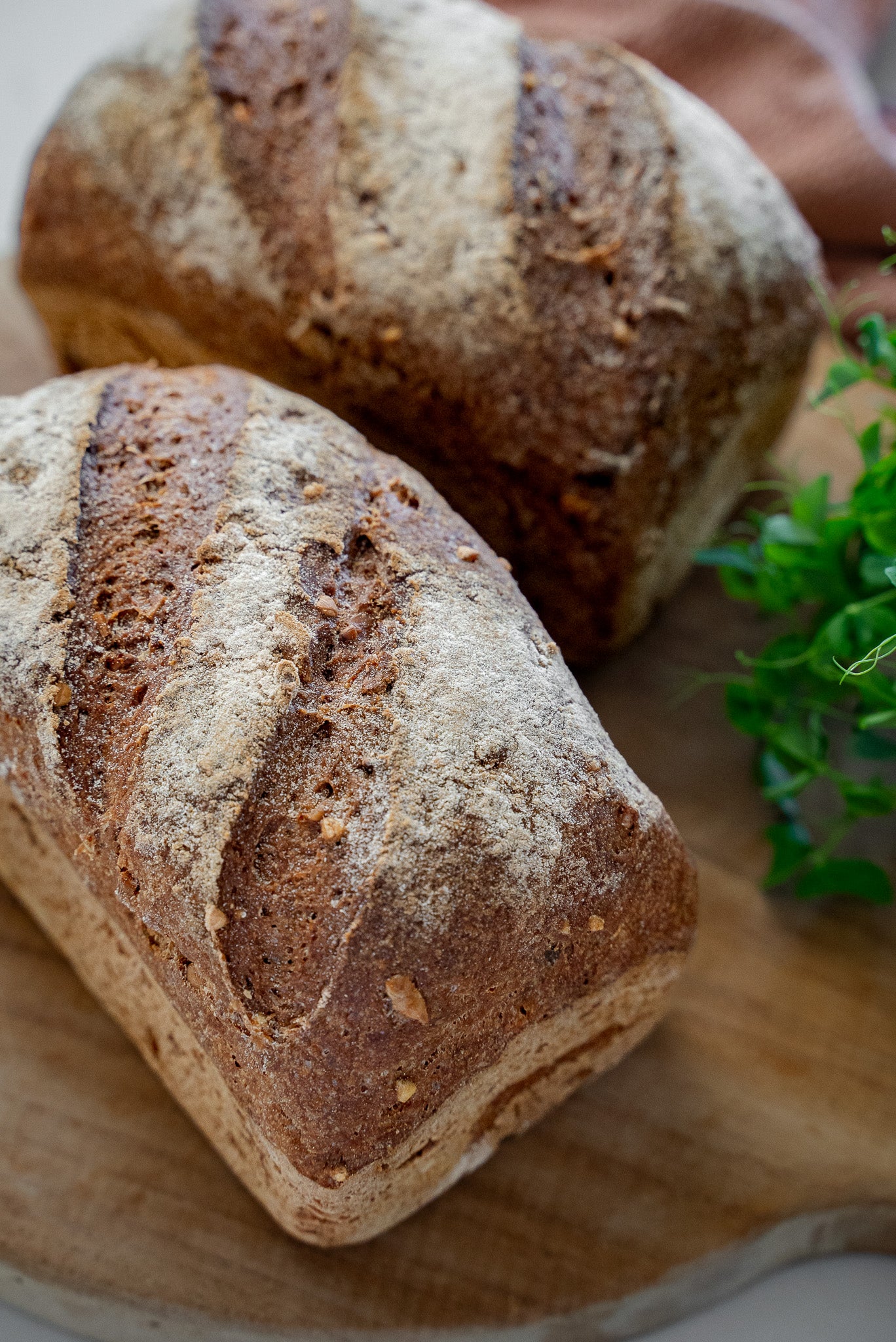 ORGANIC GF SOURDOUGH BUCKWHEAT & SACRED SEED