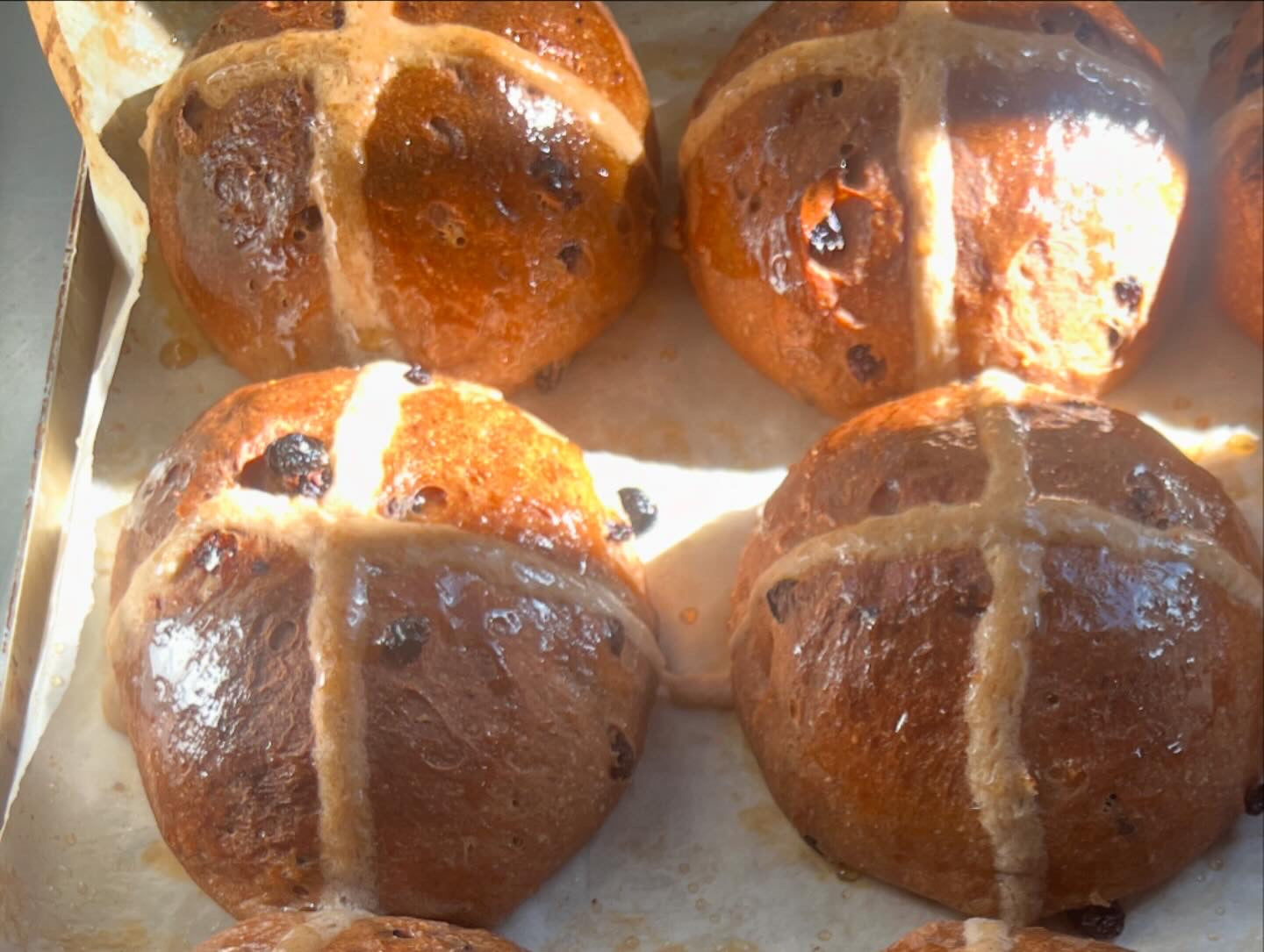 HOT CROSS BUNS 4 PACK -BLACKCURRANT & FIG (ORGANIC GF VEGAN RSF)