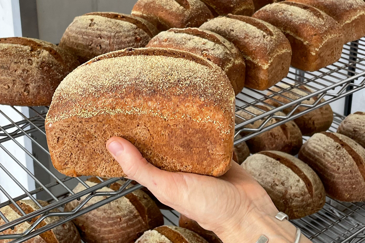 BREADICINE GIFT CARD
