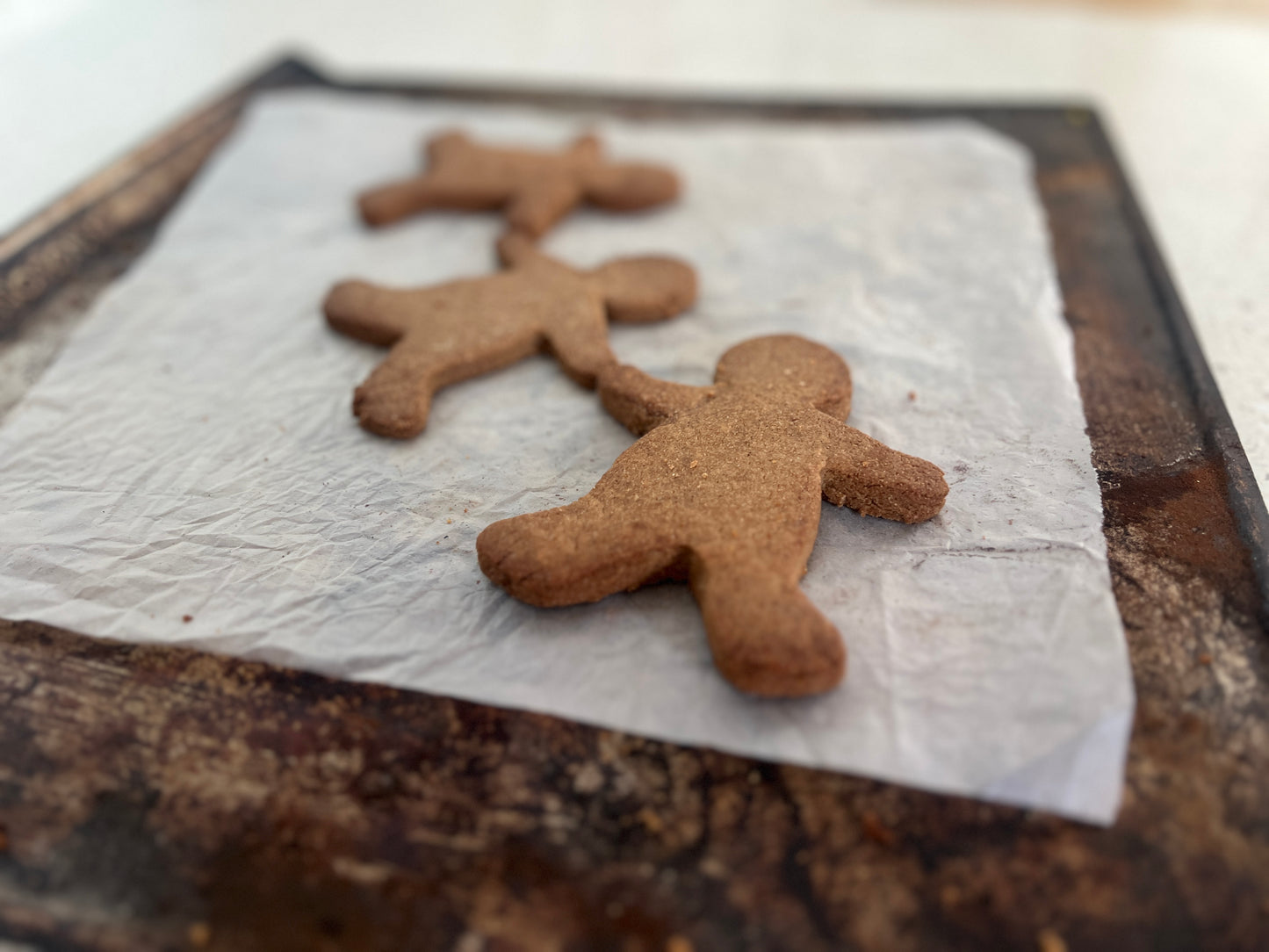 NEW! Bake-at-Home Gingerbread Dough — Organic, GF + Vegan (Limited Edition)